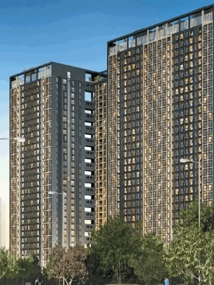 project_overview_img